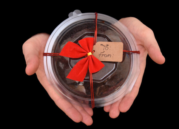 Wickedly Good Pud (480g) - Image 3